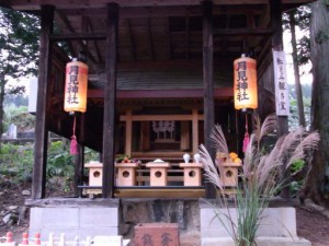 転月の丘