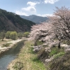 Thumbnail of related posts 194