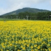 Thumbnail of related posts 069