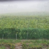 Thumbnail of related posts 176