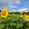 Thumbnail of related posts 164