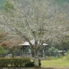 Thumbnail of related posts 072